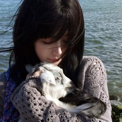 情系洛川红苹果